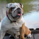 Krista Belle Vsegda Pervy