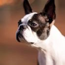 Infinite Love s Krainego Severa