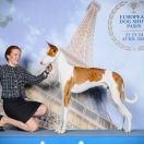 El Profesor Baltas Vejas