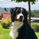 LEILA z Cichej Górki