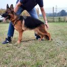 Clooney Dell'Altovir 