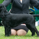 VIVIENNE DU PECH DE LA GINESTELLE