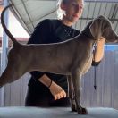 Topgunners dove è sempre sole