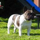 Kalispera Cortona Logones S.N.