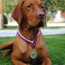 Magasparti Rutinos Ozora