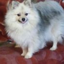 Грейсилинда из Аленкиной сказки