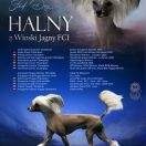 HALNY z Wioski Jagny FCI