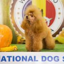 EMMI LiTTLE PRINCESS RAISA LUKASH 