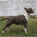 DRAMA QUEEN Celebrities Base