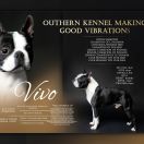 OUTHERN KENNEL MAKING GOOD VIBRATIONS