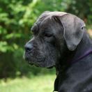 A BIG SUPRISE Your Destiny FCI