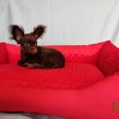 NANOCZĄSTECZKA Sfora spod Tatr