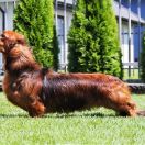 HUNTAKS Emotion Beauty 