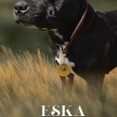 ESSENCYA Wild Smile FCI 