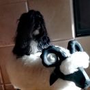 USIA Białe Bursztynki 