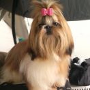  MEANING OF LIFE BUBBLE BEE