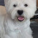 Lover Masaradee Flow