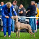 NANA GREY Weimarpark