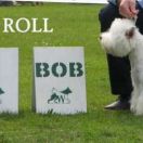 CEE-CEE ROLL Czar Krakowa