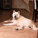 TAMI z Grodzkiego Zakątka