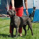 Rock and Roll Corso z Lasów Godzieskich (Zumba)