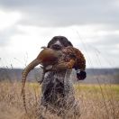 Eike della Ca’Rigada