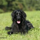 ENORMOUS QUI PRO QUO