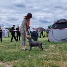 ZAFFIRO Dream Of Coffee FCI 