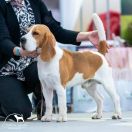 PINKERTON Infinity Sun