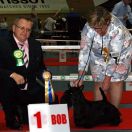 Margaretka G.Jachowicz