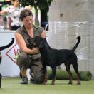 HORUS z Buczynowych Górek