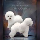 Luna for Best Western Diamond Paradise