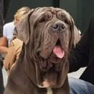 Jennifer Krzyk Uwielbienia 