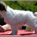 BARY WHITE Athel Loren 