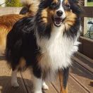 I AM LUCY Pasterskie Ranczo 