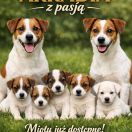 Morris Rymanowska Wataha 