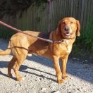 HEROS Słopnicka Przełęcz 