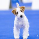 NEVER GIVE UP HEAVENLY-BLESSING