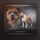 NOTHING COMPARES TO ME FOR POWER STAFF Niziołek