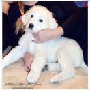 JAROSŁAW Athel Loren 