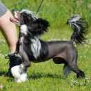 Freya Lola Pompinell´