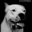 Moana Los Dulce Angel