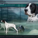 MISTRAL All Irish Gold