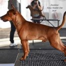 Astalante News Number One