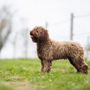 Dianna Sierra de Grazalema 