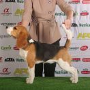 Inside I’m Dancing La Casa Demiani