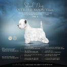  OVER THE MOON Vixan MŁCHPL, CHPL