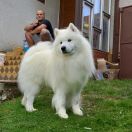 CONSENTÍDOS CORTÉZ LA TORRE ROJA 