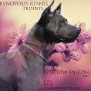 Shadow Śnieżne Zjawisko