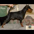 Ultima chance di casa Glaunic